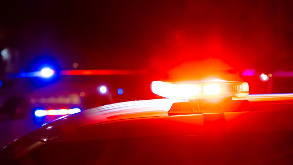 Driver killed in head-on collision with semi in central Minnesota — Rochester Sports news