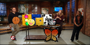 Halloween “Boxtumes” — Rochester Business news